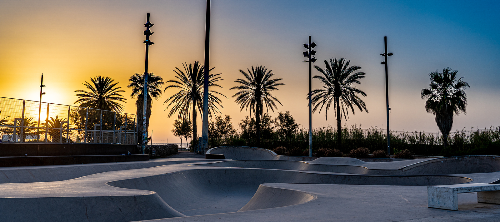 Pro & Hop Best Sellers