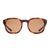 Otis Offset Sport Matte Amberwood Tort/Brown Polar