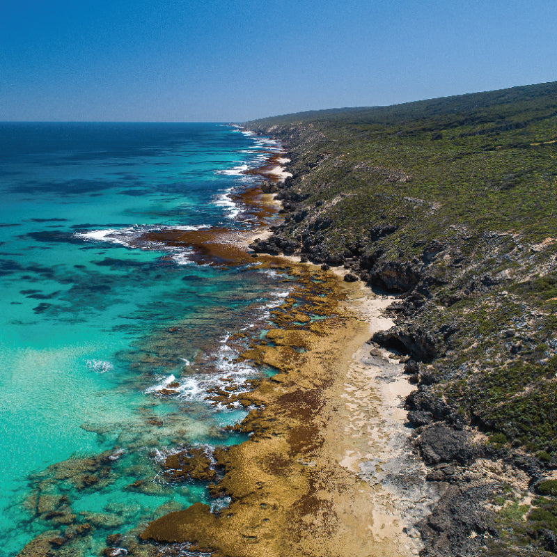 Otis Eyewear LIT Polarised Collection